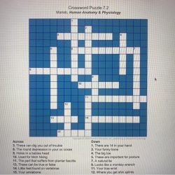 Don't move a muscle crossword