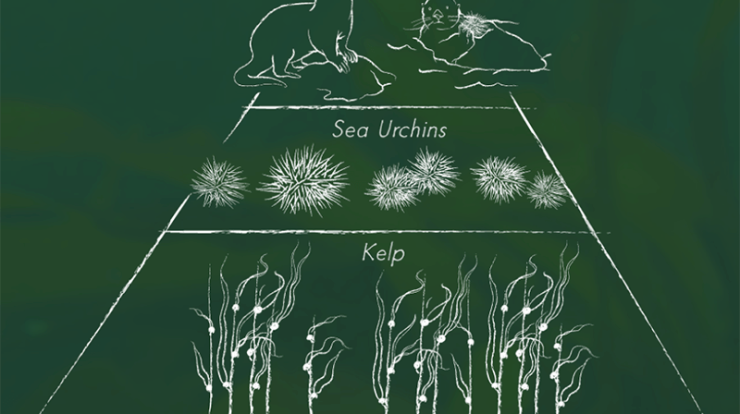 Trophic cascades biointeractive