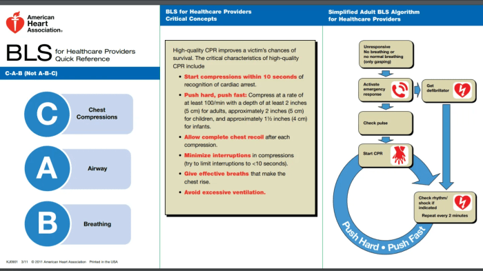 Bls exam questions and answers 2020 pdf