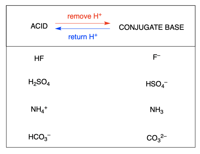 Conjugate acid base pair worksheet