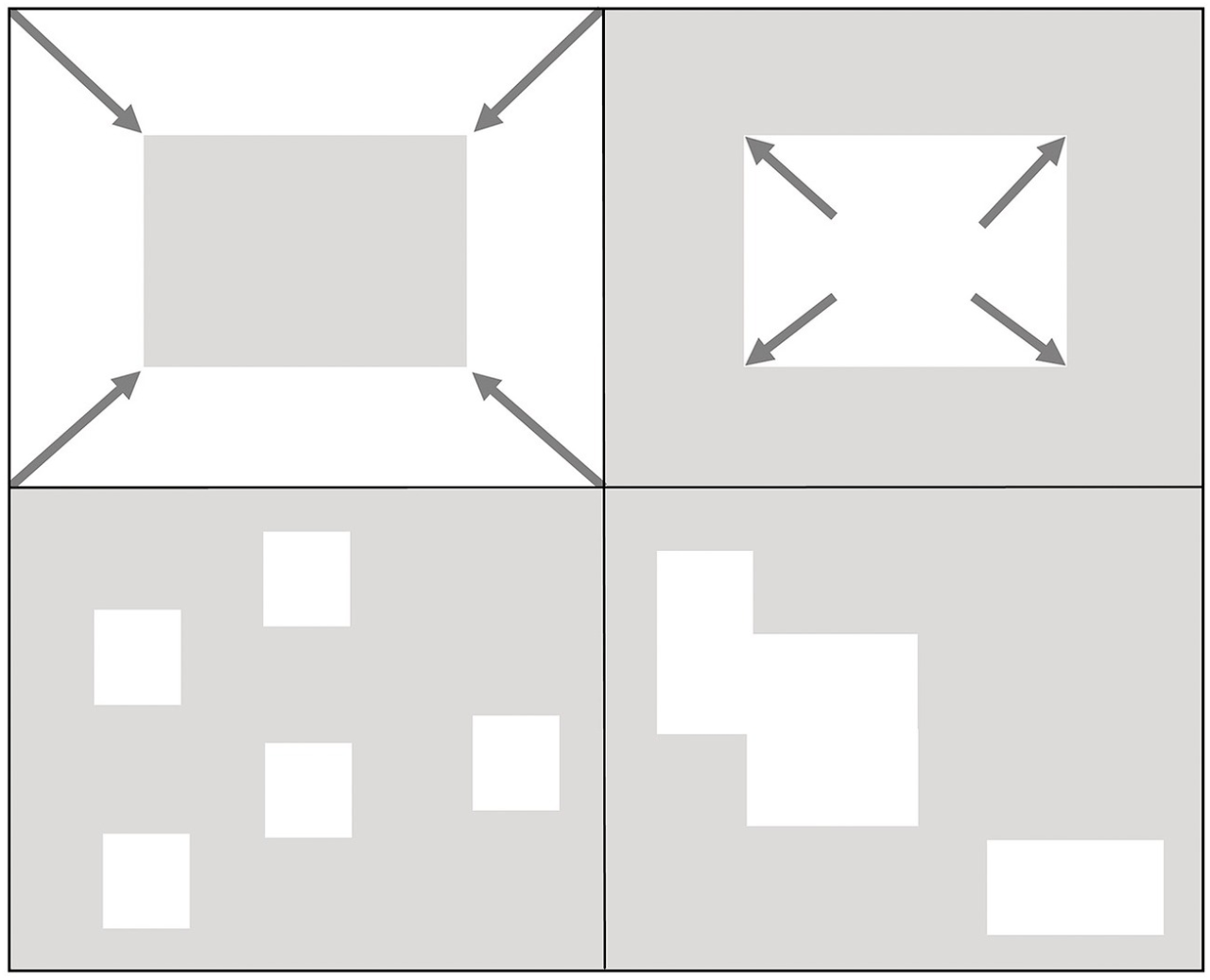 Section 4-2 what shapes an ecosystem