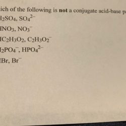 Conjugate acid base pair worksheet