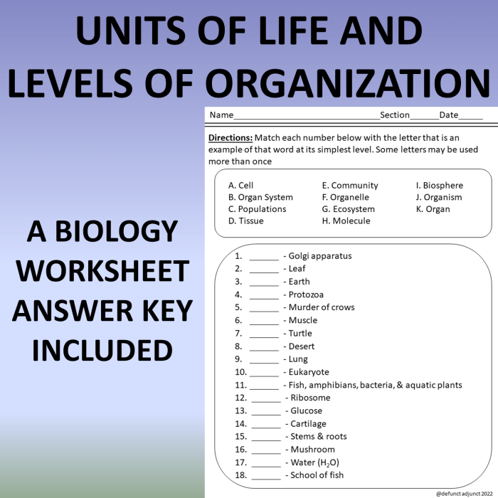 Biological biology organism grade tpt ahuskyworld