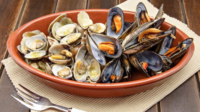 Mussels clams oysters bivalves oyster bringing food cleans ups exercises muscle need safety only do fresh printable pdf cooked